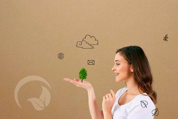 hébergement écologique de données